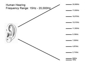 محدوده شنیداری انسان