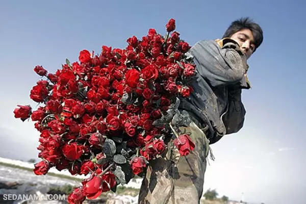 خرید گل برای ولنتاین